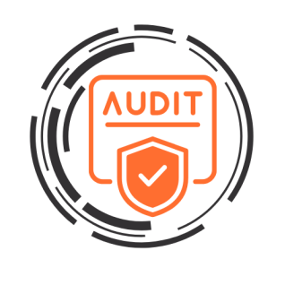 audit
